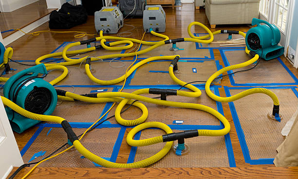 Professional Water Damage Restoration technician working in Pine City, MN